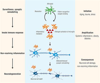 Frontiers | An Inflammation-Centric View Of Neurological Disease ...